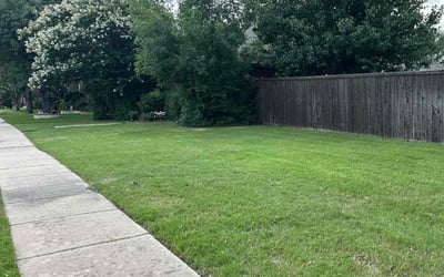 Photo of Lori W.'s yard after getting lawn care in Lincoln, NE