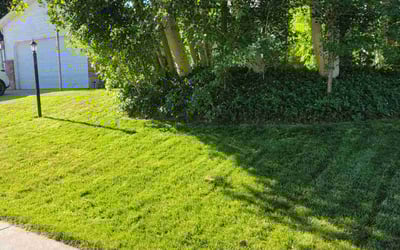 Photo of Scott R.'s yard after getting lawn care in South Jordan, UT