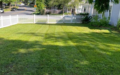 Photo of Michael P.'s yard after getting lawn care in Germantown, MD