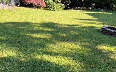 Photo of Eric H.'s yard after getting lawn care in East Greenwich, RI
