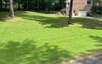 Photo of Angie W.'s yard after getting lawn care in Fruitland Park, FL