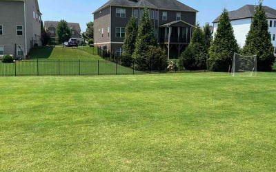 Photo of Amanda M.'s yard after getting lawn care in Oak Island, NC