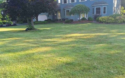Photo of Mary H.'s yard after getting lawn care in Syracuse, NY
