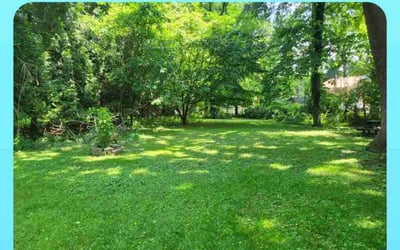 Photo of Tessa S.'s yard after getting lawn care in Pikesville, MD