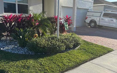 Photo of Gail T.'s yard after getting lawn care in Clermont, FL
