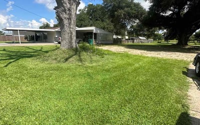 Photo of Joy R.'s yard after getting lawn care in Sulphur, LA