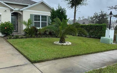 Photo of Margaret P.'s yard after getting lawn care in Deland, FL