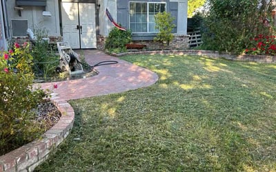 Photo of Vernon H.'s yard after getting lawn care in Blythe, CA