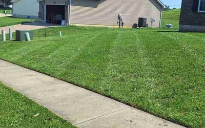 Photo of Vince W.'s yard after getting lawn care in Overland Park, KS