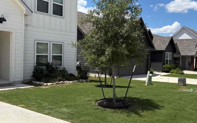 Photo of Passion P.'s yard after getting lawn care in Athens, AL