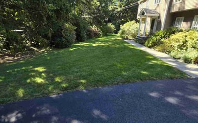 Photo of Dominic B.'s yard after getting lawn care in Wayland, MA