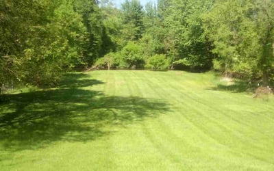 Photo of Marcus G.'s yard after getting lawn care in Fenton, MI