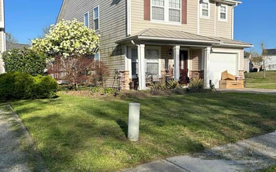 Photo of Johanna U.'s yard after getting lawn care in Wesley Chapel, FL