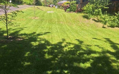 Photo of Michael C.'s yard after getting lawn care in Oklahoma City, OK