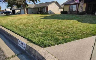 Photo of Vinay A.'s yard after getting lawn care in Victorville, CA