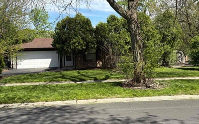 Photo of Brian R.'s yard after getting lawn care in Wappingers Falls, NY