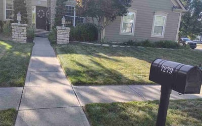 Photo of Denise H.'s yard after getting lawn care in New Albany, OH