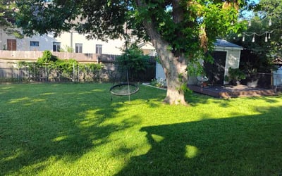 Photo of Thomas E.'s yard after getting lawn care in Smithville, TX