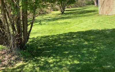 Photo of Erin B.'s yard after getting lawn care in Gates, NY
