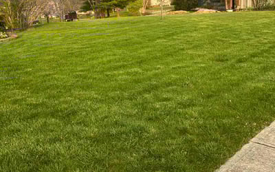 Photo of Kathryn M.'s yard after getting lawn care in Greencastle, IN