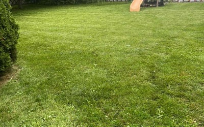 Photo of Randy B.'s yard after getting lawn care in Roselle, IL