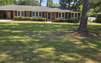 Photo of T B.'s yard after getting lawn care in Columbia, SC