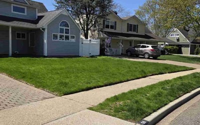 Photo of Tracy C.'s yard after getting lawn care in Port Washington, NY