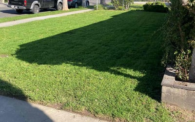 Photo of LanceLance m.'s yard after getting lawn care in San Bernardino, CA
