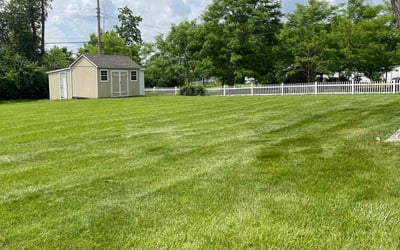 Photo of Nicole D.'s yard after getting lawn care in Centerville, OH