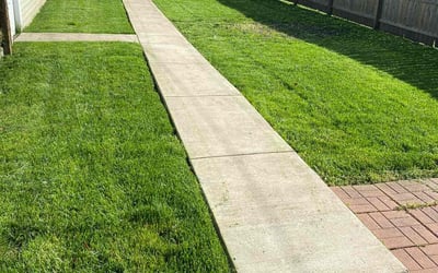 Photo of Louis B.'s yard after getting lawn care in Calumet City, IL