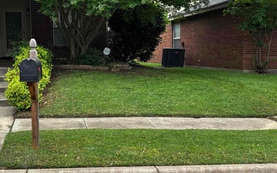 Photo of Jenell T.'s yard after getting lawn care in Arlington, TX