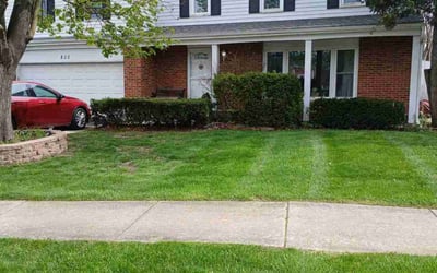 Photo of Jonathan T.'s yard after getting lawn care in Carol Stream, IL