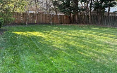 Photo of Trevis B.'s yard after getting lawn care in Red Bank, NJ