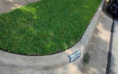Photo of Catherine S.'s yard after getting lawn care in Bedford, TX