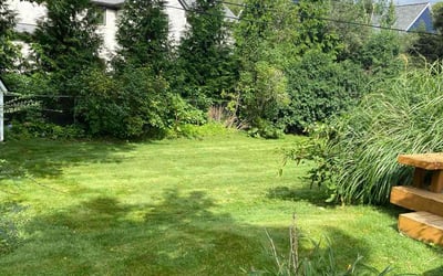 Photo of Brian H.'s yard after getting lawn care in West Bloomfield, MI