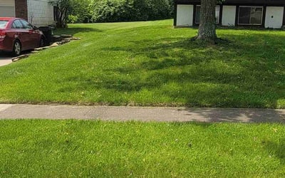 Photo of Tommy D.'s yard after getting lawn care in Cleves, OH