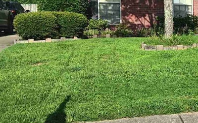 Photo of Cassie s.'s yard after getting lawn care in Montevallo, AL