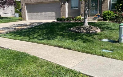 Photo of Mark T.'s yard after getting lawn care in Shelbyville, KY
