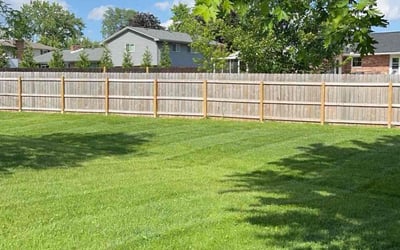 Photo of Adam W.'s yard after getting lawn care in Norwood, OH