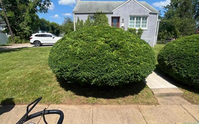 Photo of Leslie R.'s yard after getting lawn care in Joppa, MD