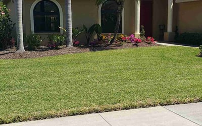 Photo of Lorraine G.'s yard after getting lawn care in Sarasota, FL