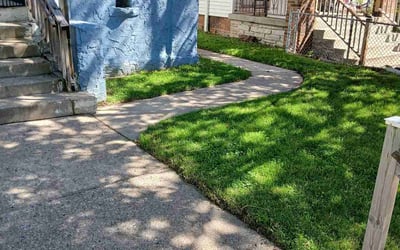 Photo of Barbara L.'s yard after getting lawn care in Wausau, WI