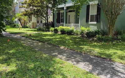 Photo of Daniel S.'s yard after getting lawn care in Sonoma, CA