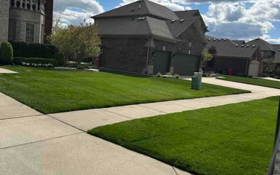 Photo of Stacey K.'s yard after getting lawn care in Lancaster, CA