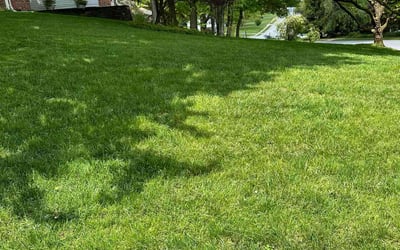 Photo of Teri S.'s yard after getting lawn care in Exton, PA