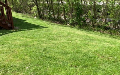 Photo of Charles C.'s yard after getting lawn care in Middle River, MD