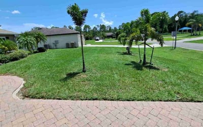 Photo of Heidi L.'s yard after getting lawn care in Leesburg, FL