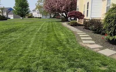 Photo of Cassie C.'s yard after getting lawn care in Royersford, PA