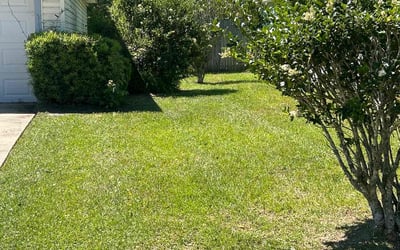 Photo of Farah E.'s yard after getting lawn care in Danvers, MA