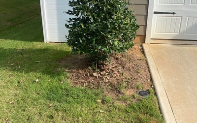 Photo of Gena A.'s yard after getting tree care in El Dorado Hills, CA